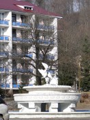 Building No 3, Health Resort / Sanatorium &laquo;Syniak&raquo;