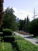 аллея парка, Пансионат &laquo;Крымское Приморье&raquo;