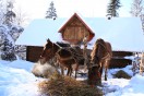 подсобное хозяйство, Гостиница &laquo;Озеро Vita&raquo;