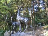 парк, Санаторий &laquo;Форос&raquo;