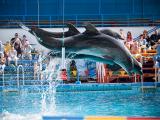 , Hotel &laquo;Yalta-Intourist&raquo;