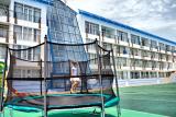 Summer entertainment, Hotel &laquo;Krasotel - Levant &raquo;
