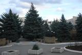 территория, Санаторий `Сакский ЦВКС', Крым (Западный Крым, Саки)