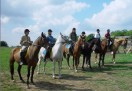 конный спорт, Детский отдых ` Атлантика', Севастополь (пос. Передовое)