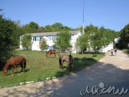 Детский отдых &ldquo;Атлантика&rdquo; | Крым (Западный Крым, Севастополь, Передовое)