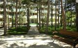 Territory, Kids and Teens Camp &laquo;Mandarin&raquo;